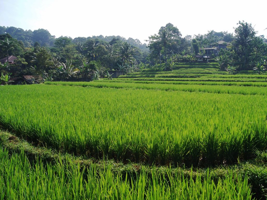Hoogtepunten | Rama Tours