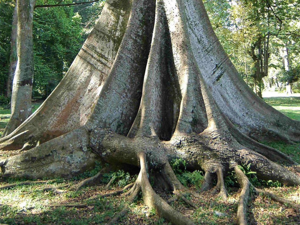 Hoogtepunten | Rama Tours