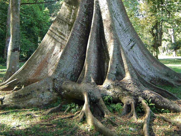 Hoogtepunten | Rama Tours