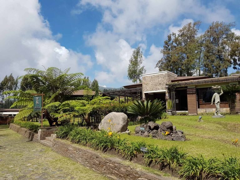 Hotels | Rama Tours