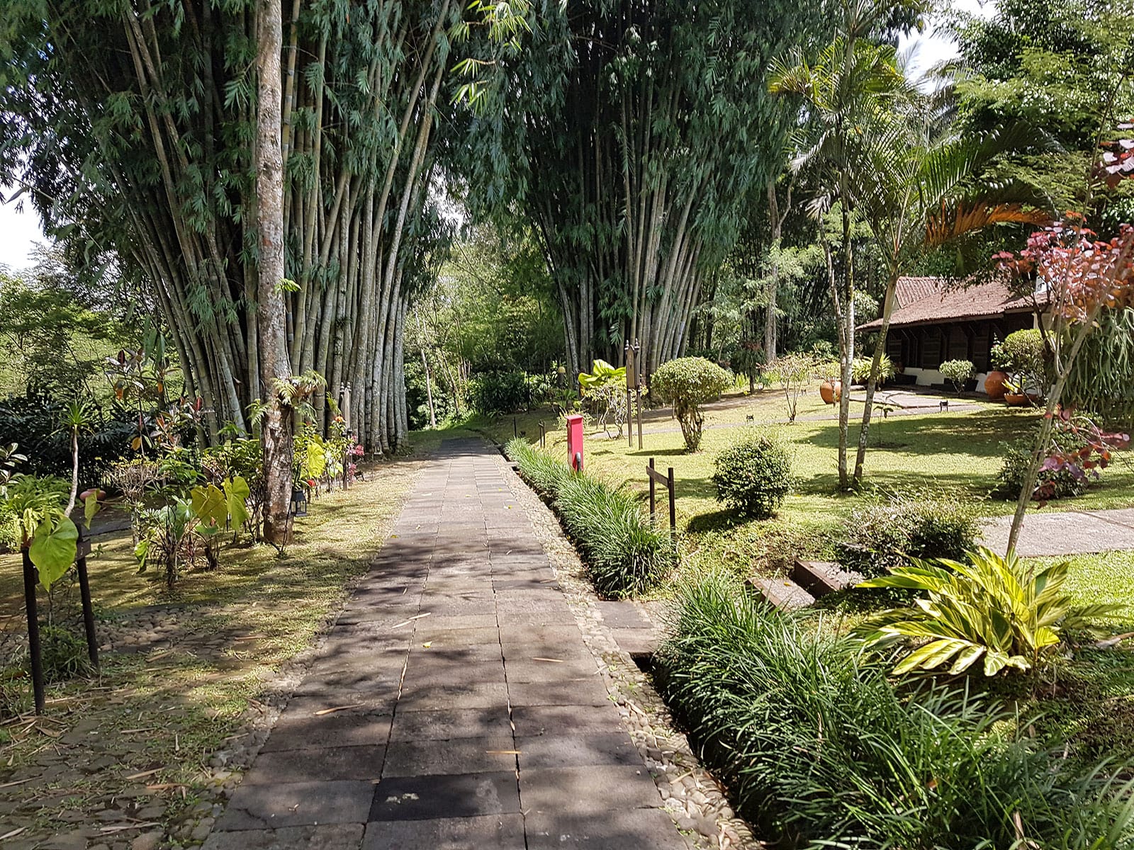 rondreis java losari mesa stila resort 7