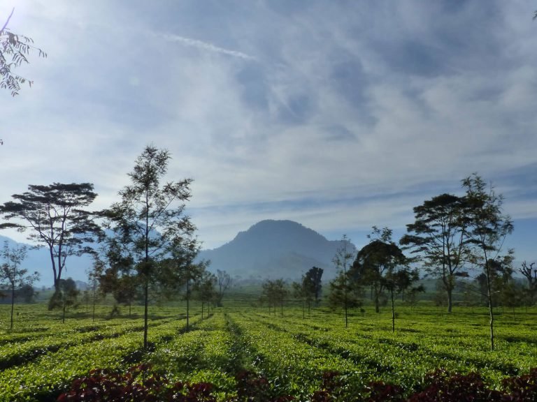 Hoogtepunten | Rama Tours