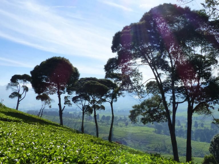 Hoogtepunten | Rama Tours