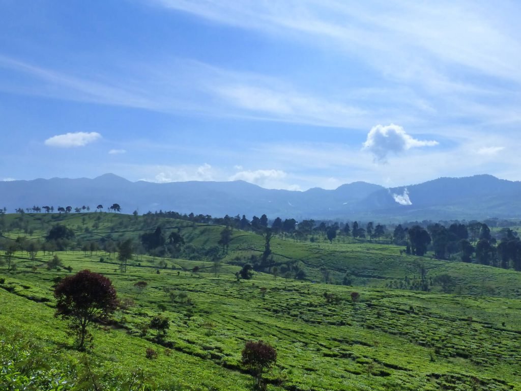 Hoogtepunten | Rama Tours