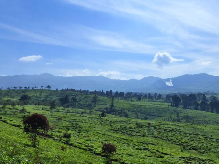 Hoogtepunten | Rama Tours
