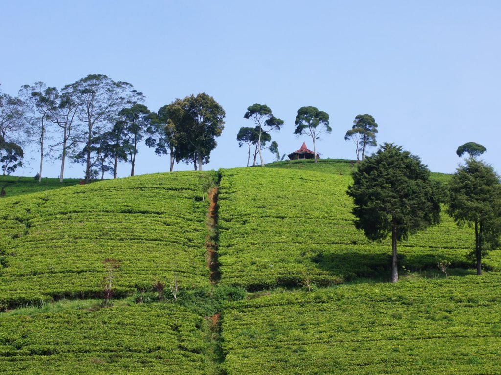 Hotels | Rama Tours