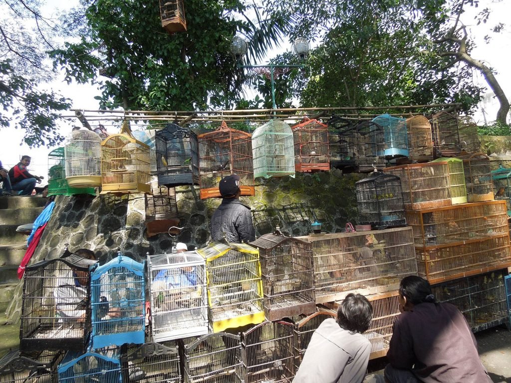 Hoogtepunten | Rama Tours