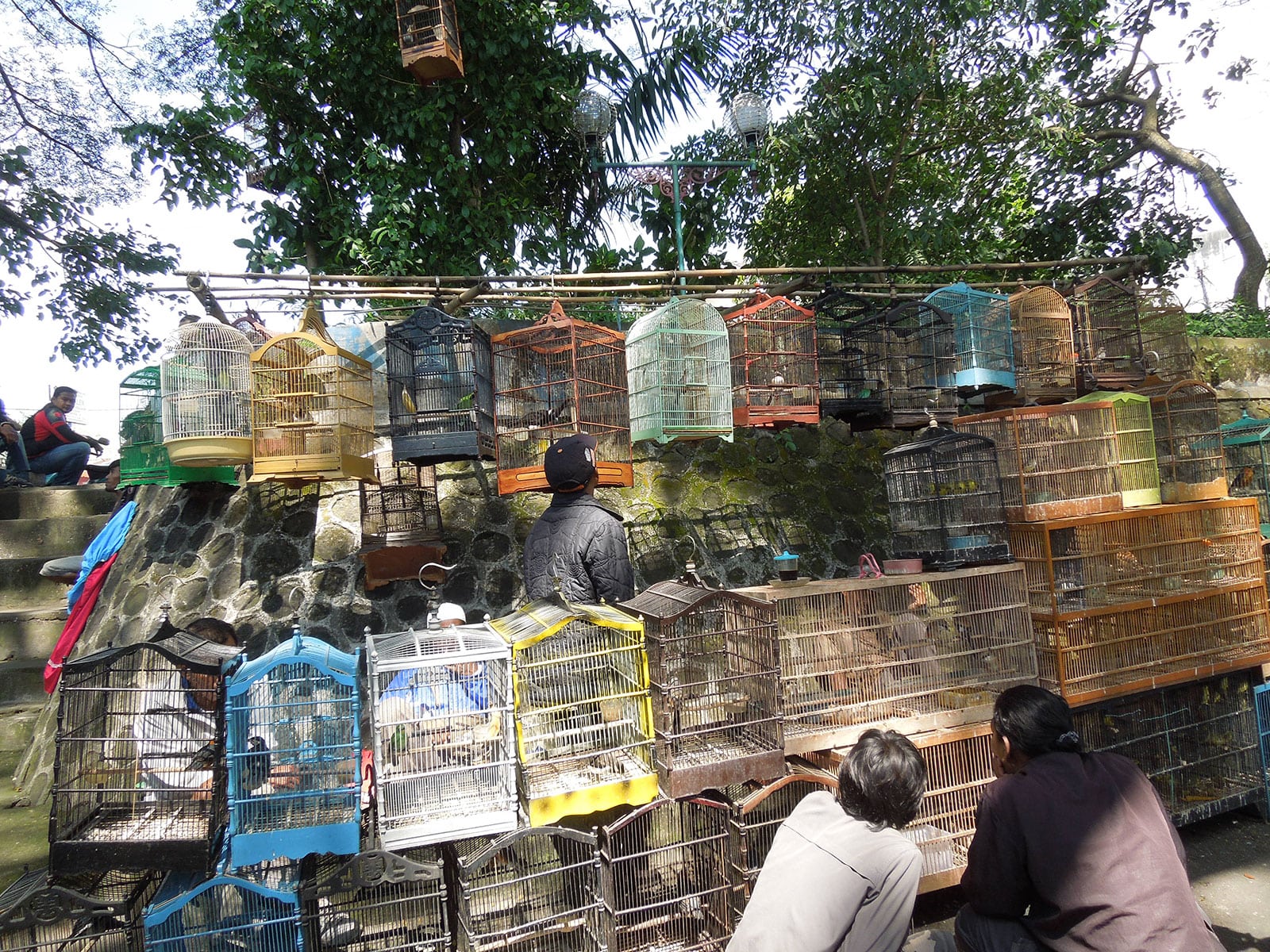 rondreis java malang hoogtepunt 4