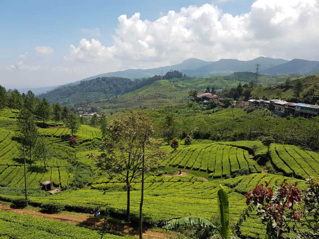Hoogtepunten | Rama Tours