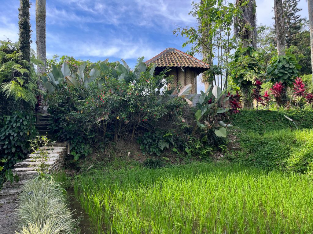 Sukabumi, Kampoeng Padi resort | Rama Tours
