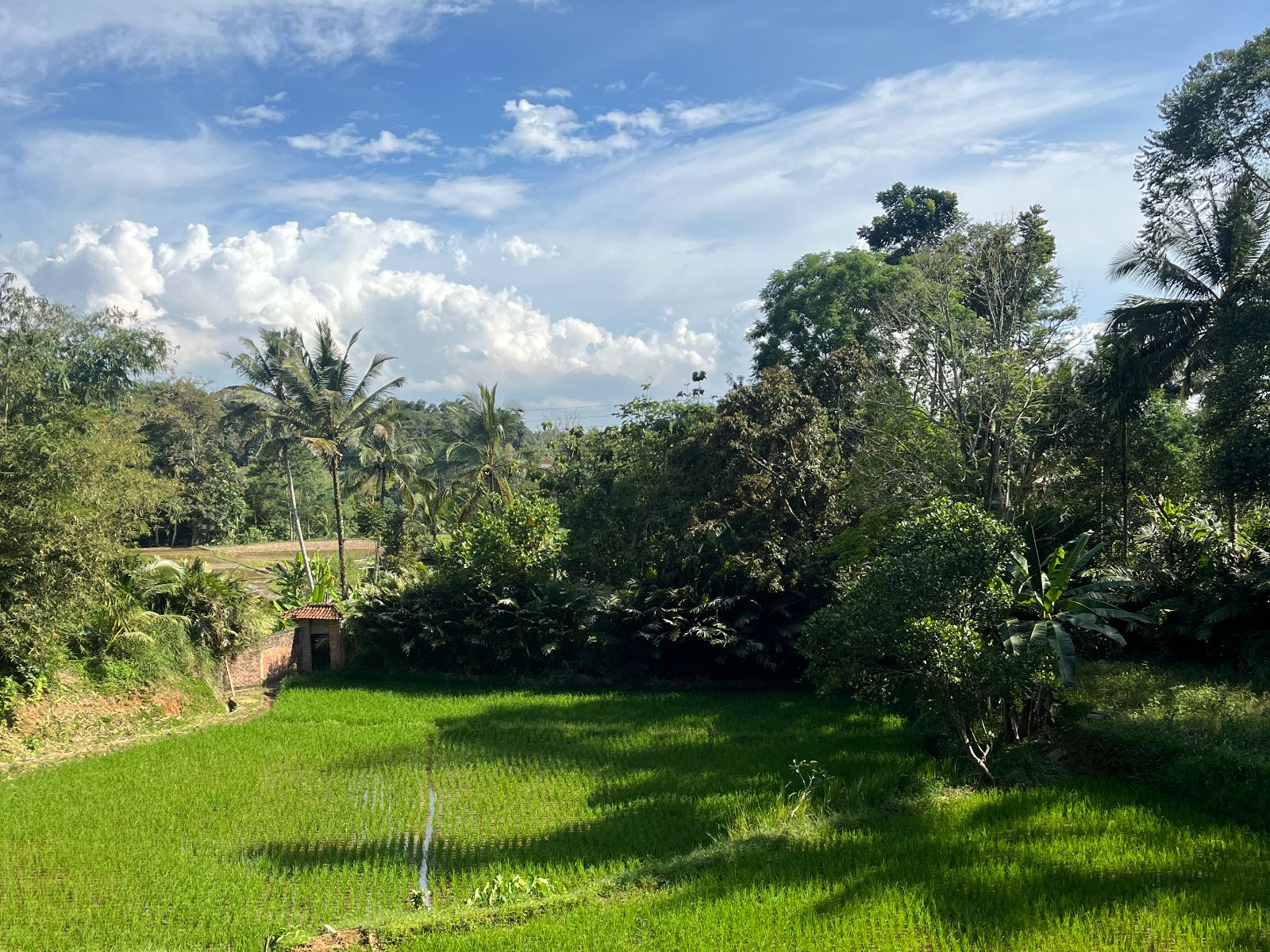rondreis java sukabumi kampoeng padi hotel 6