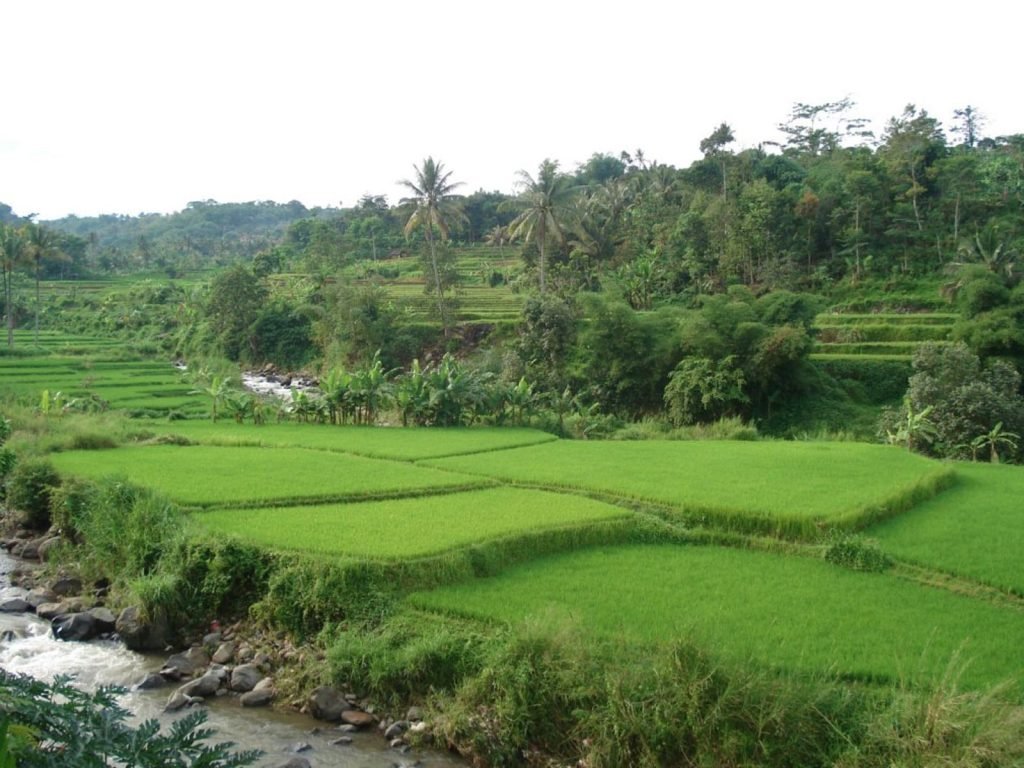Hoogtepunten | Rama Tours