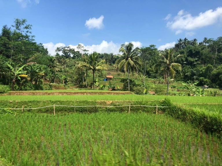 Hoogtepunten | Rama Tours