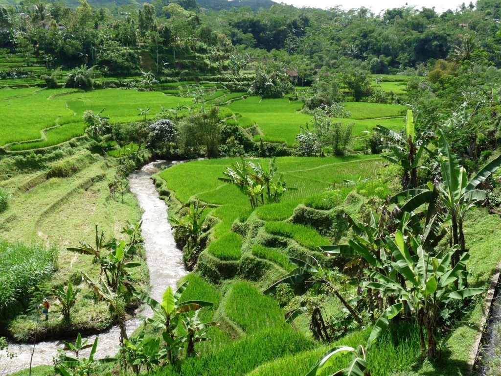 Hoogtepunten | Rama Tours