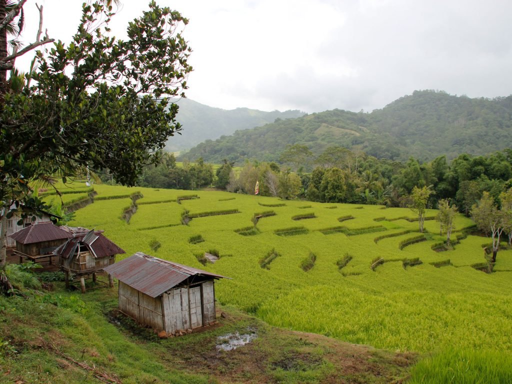 Hoogtepunten | Rama Tours