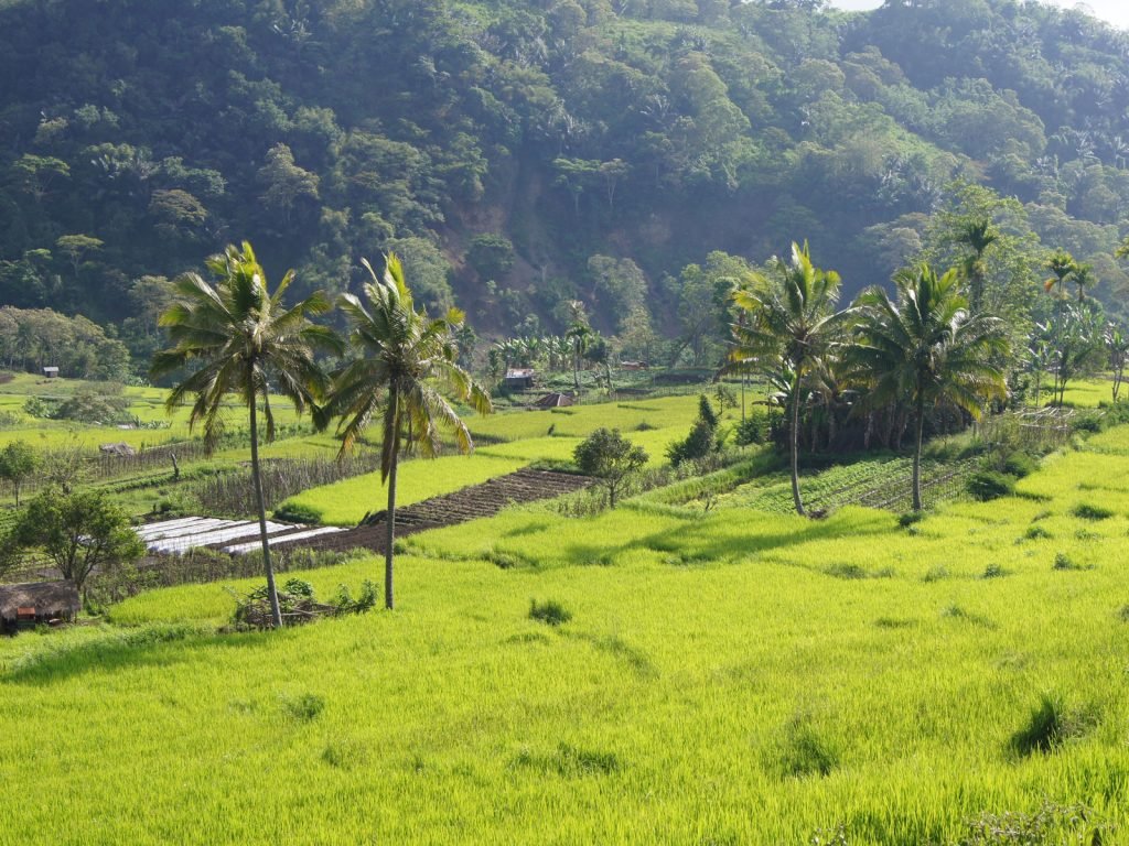 Hoogtepunten | Rama Tours