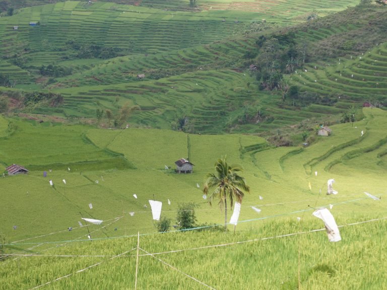 Hoogtepunten | Rama Tours