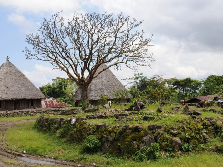 Hoogtepunten | Rama Tours