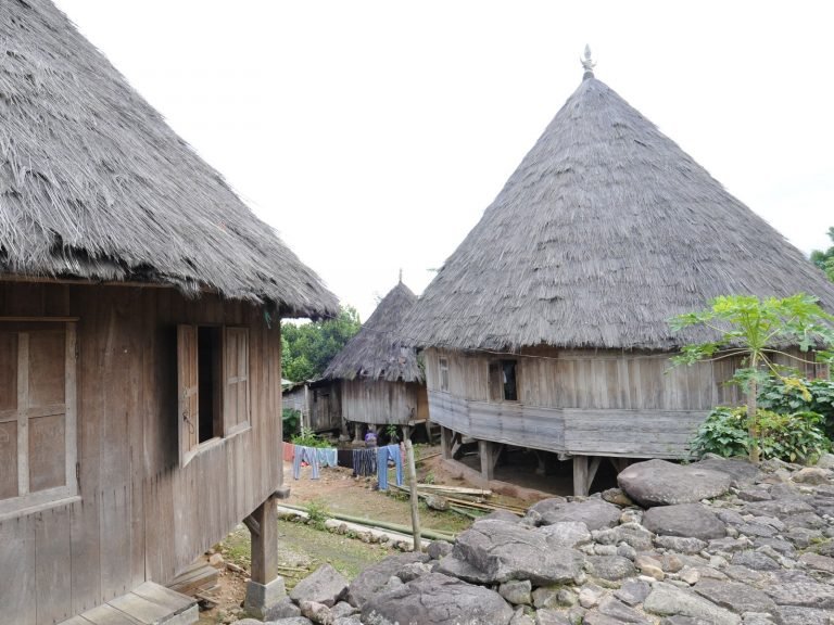 Hoogtepunten | Rama Tours