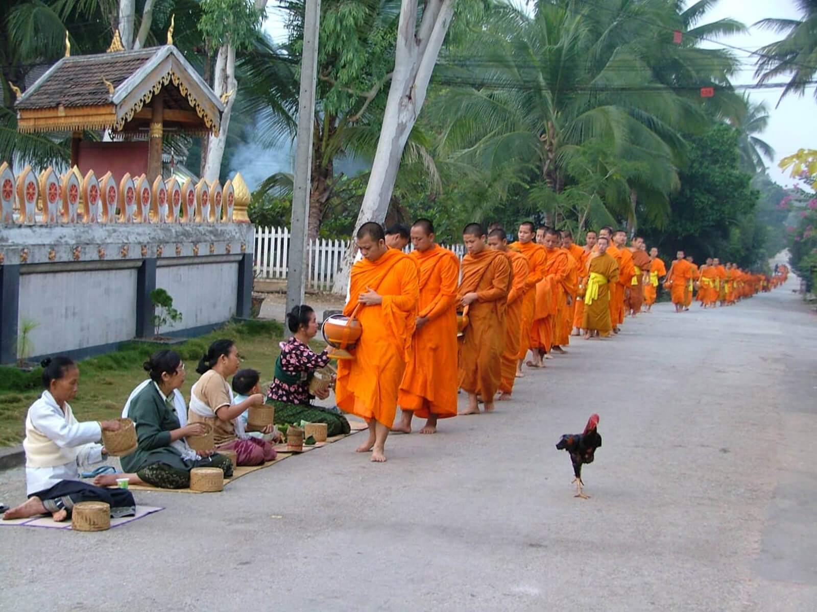 rondreis laos luang prabang hoogtepunt 22