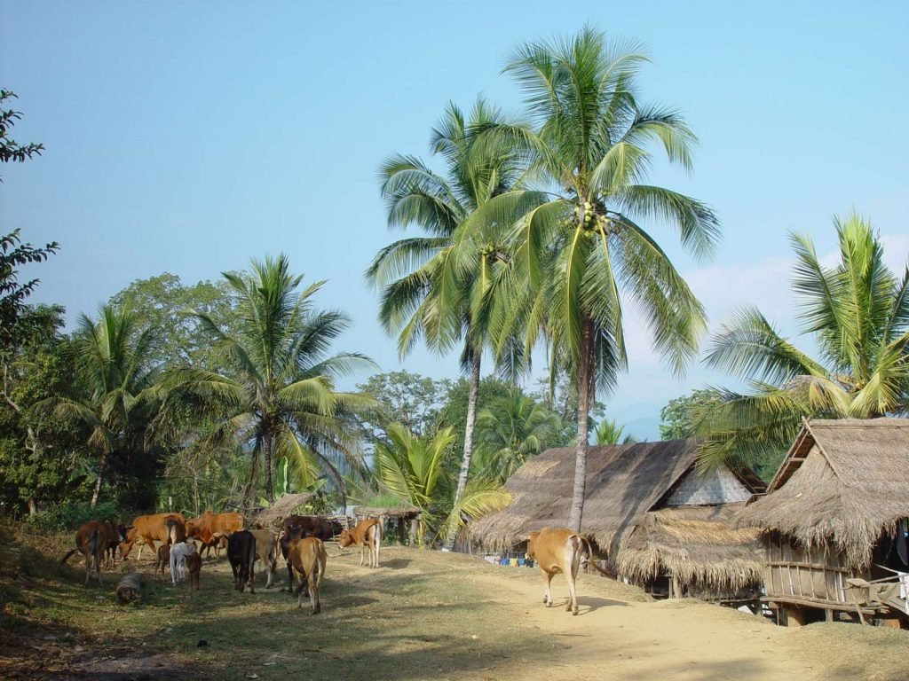 Hoogtepunten | Rama Tours