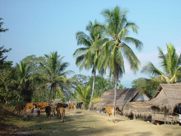 Hoogtepunten | Rama Tours