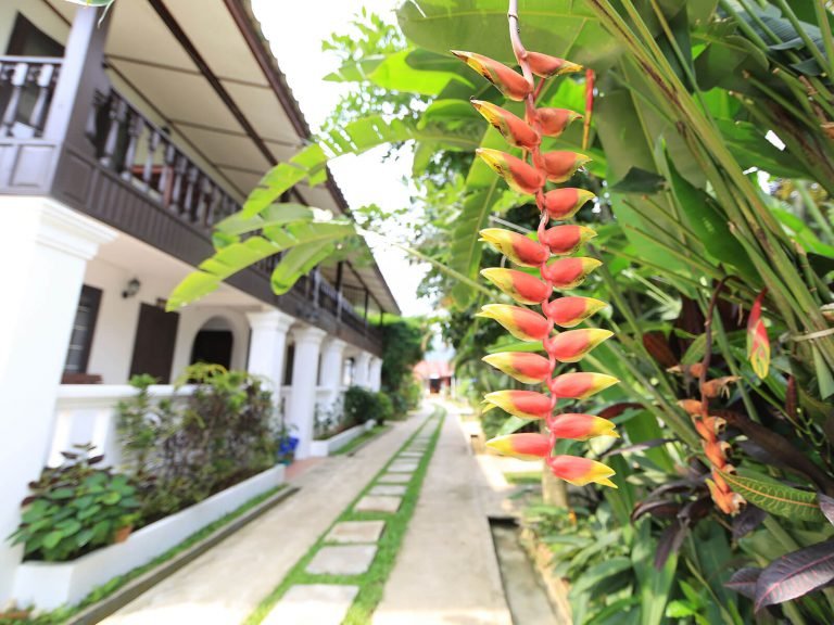 Hotels | Rama Tours