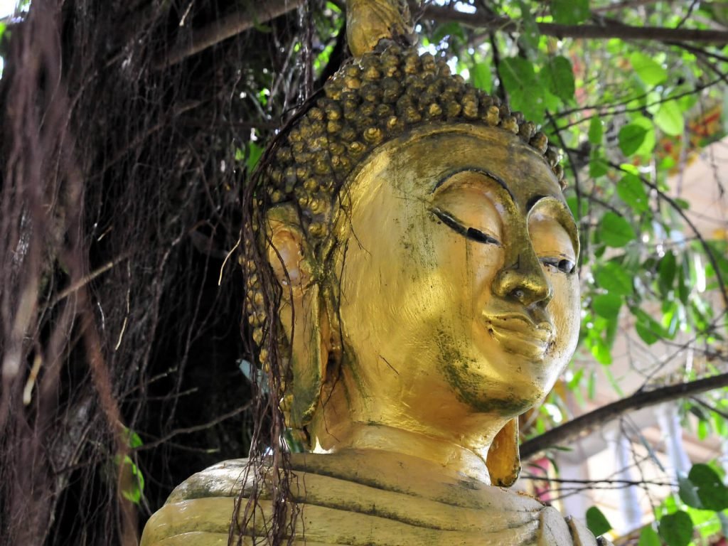 Hoogtepunten | Rama Tours