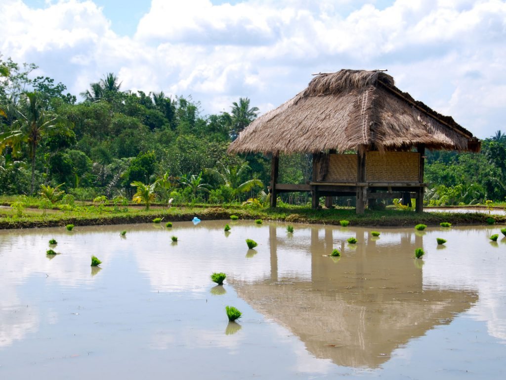 Tetebatu | Rama Tours