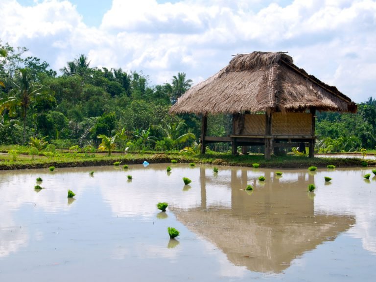 Hoogtepunten | Rama Tours