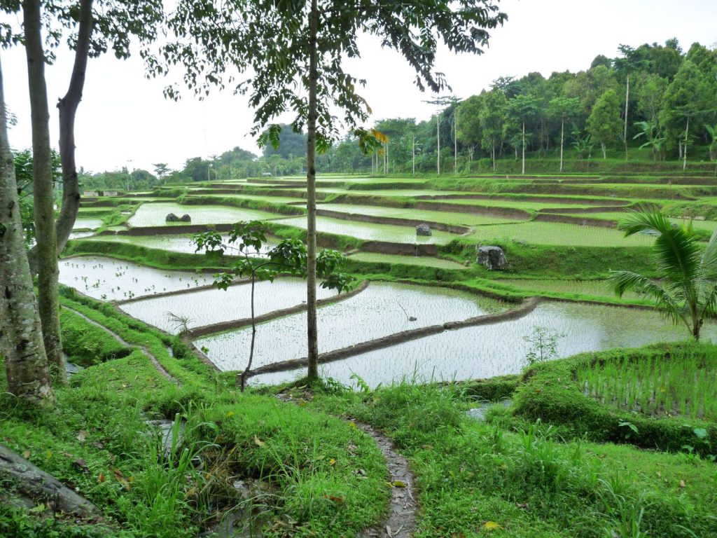 Hoogtepunten | Rama Tours
