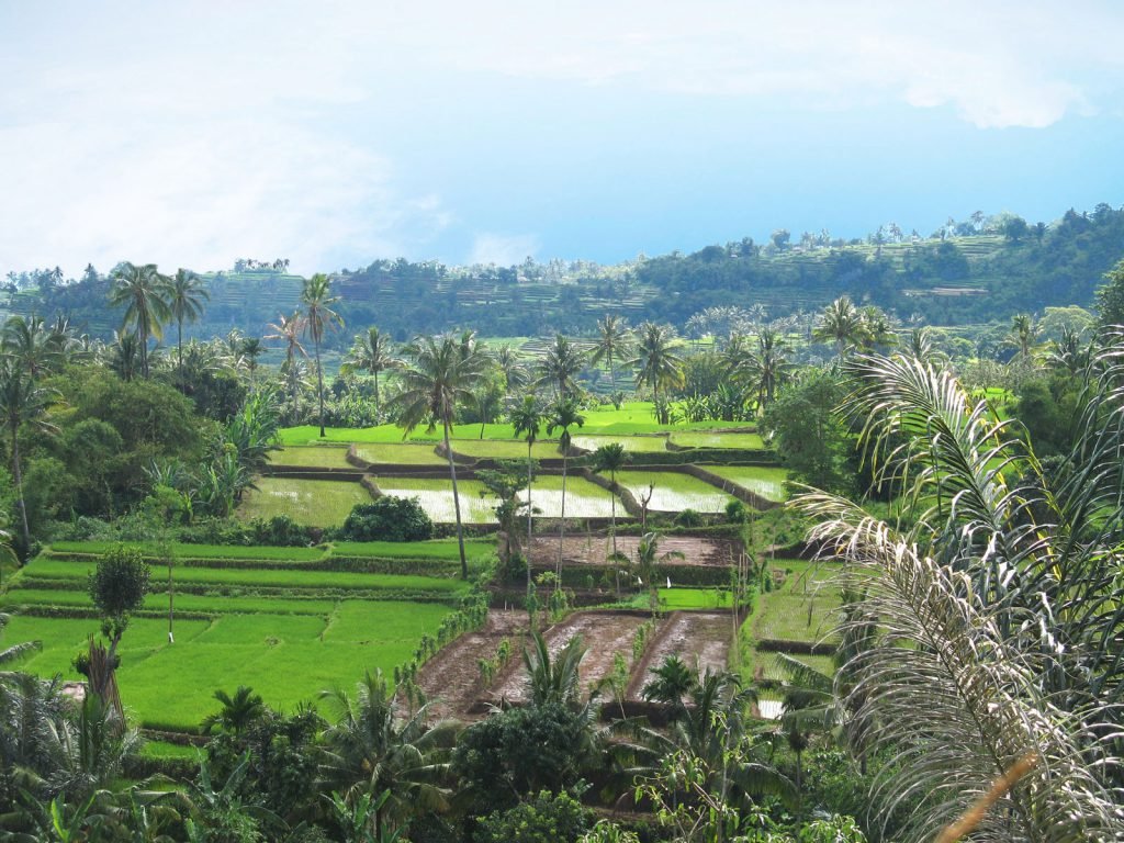 Hoogtepunten | Rama Tours