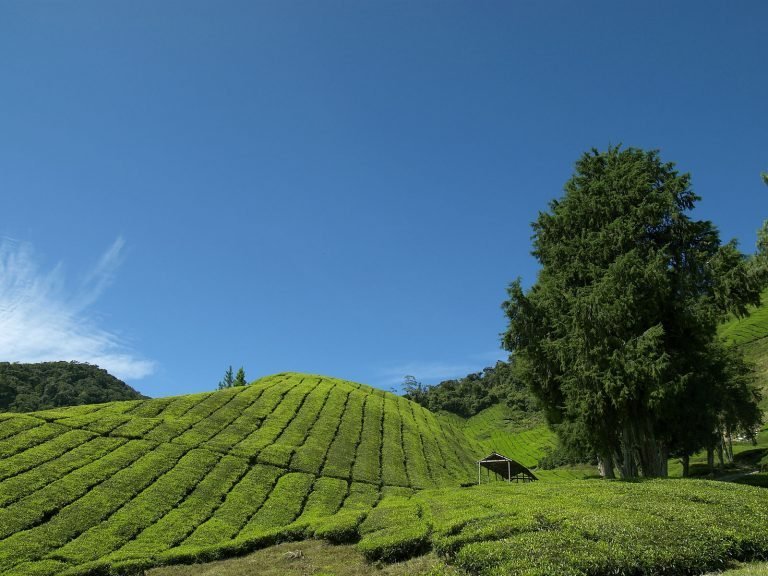 Hotels | Rama Tours