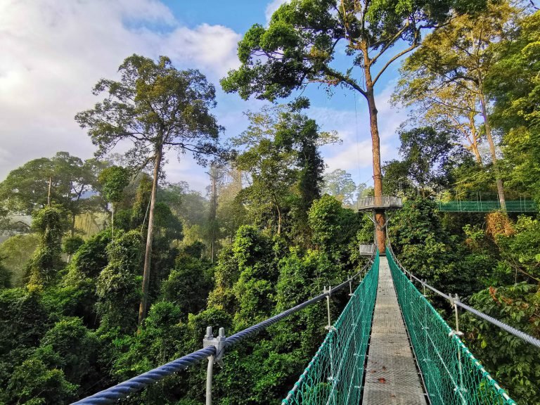 Hoogtepunten | Rama Tours