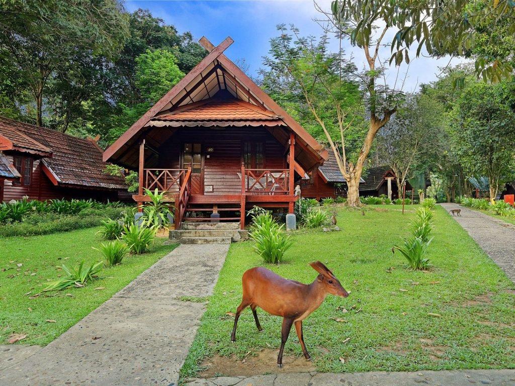 Hotels | Rama Tours