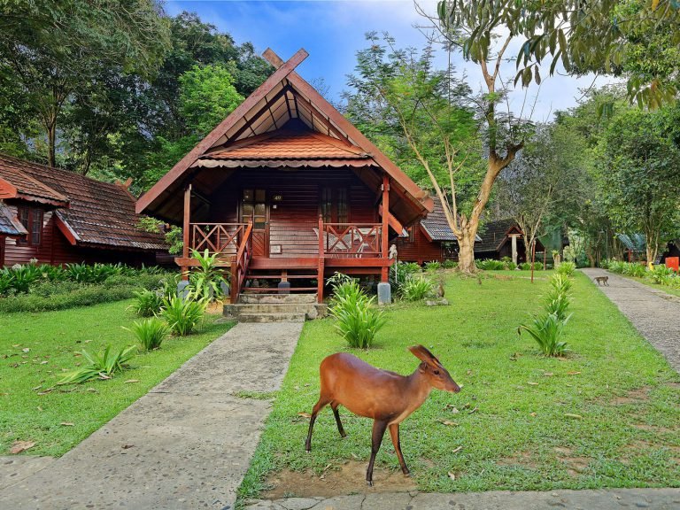 Hotels | Rama Tours