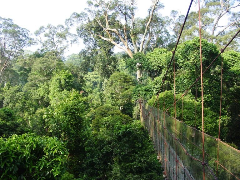 Hoogtepunten | Rama Tours