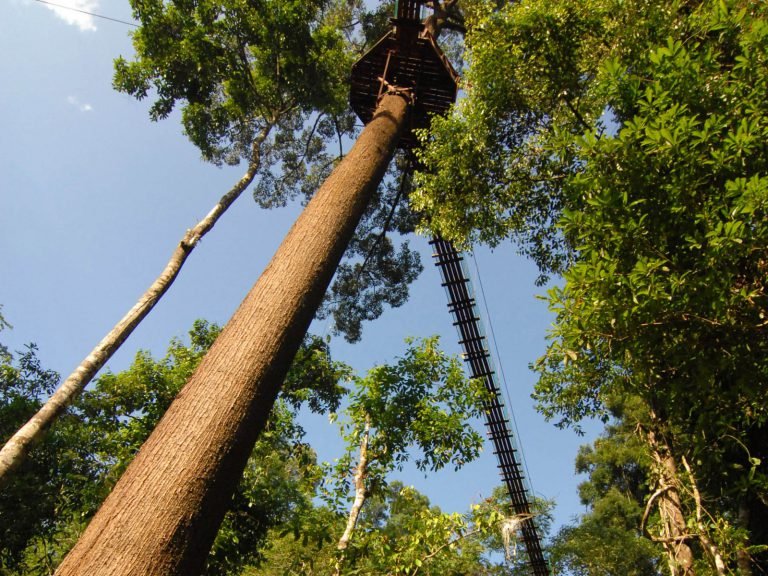 Hoogtepunten | Rama Tours