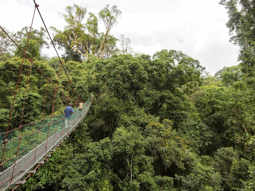 Hoogtepunten | Rama Tours
