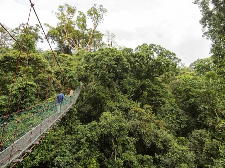Hoogtepunten | Rama Tours