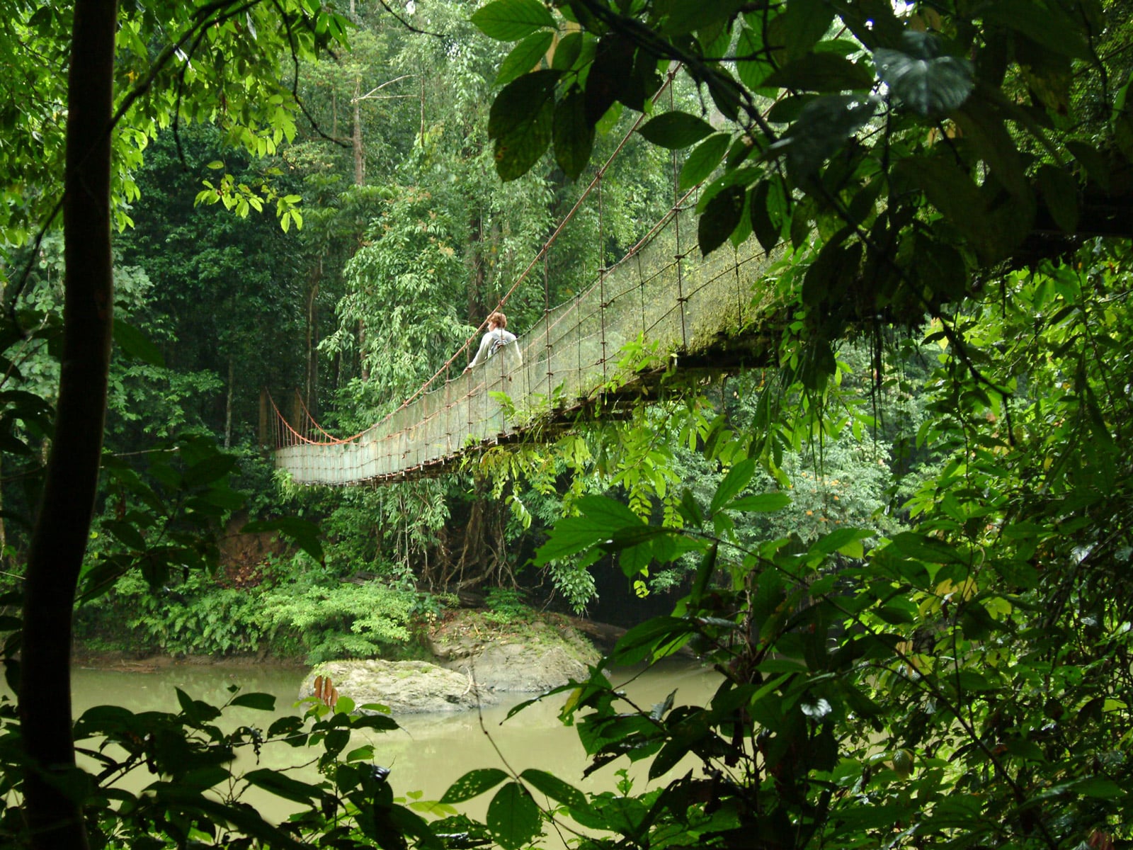 rondreis maleisie sabah danum valley hoogtepunt 7