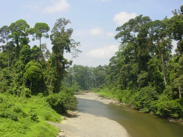 Hoogtepunten | Rama Tours
