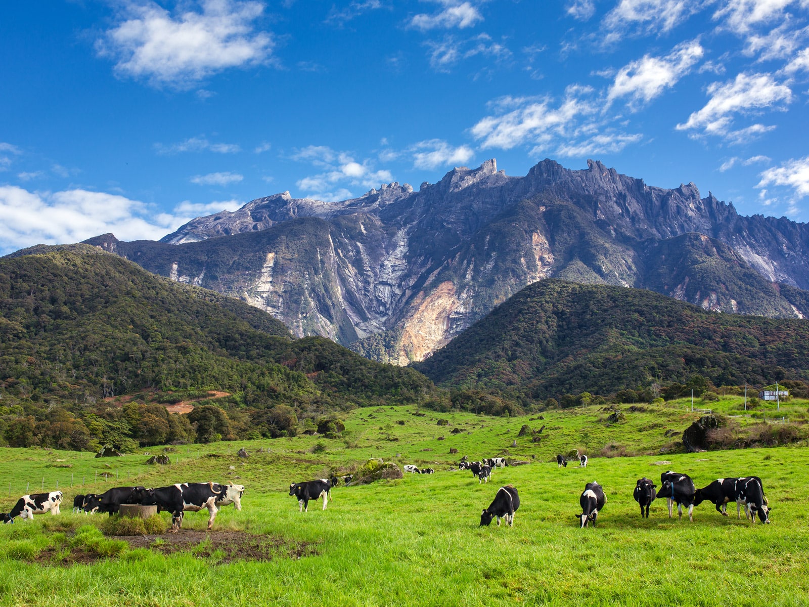 rondreis maleisie sabah mount kinabalu hoogtepunt 6