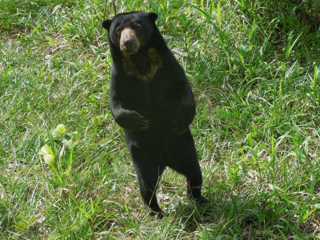 Hoogtepunten | Rama Tours