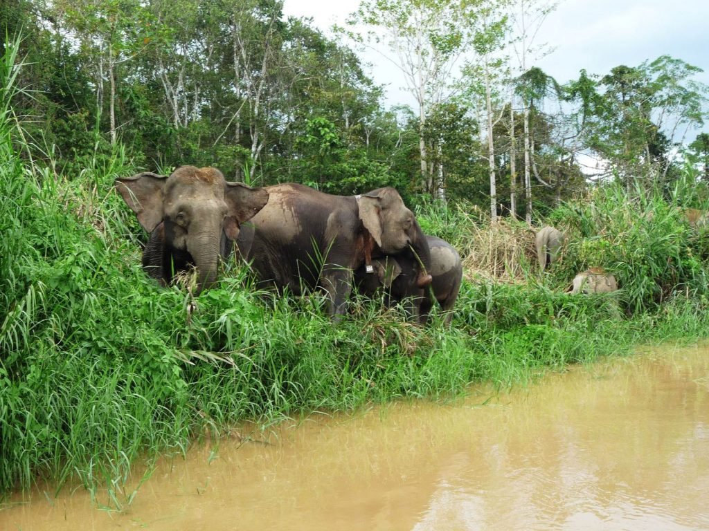 Hoogtepunten | Rama Tours