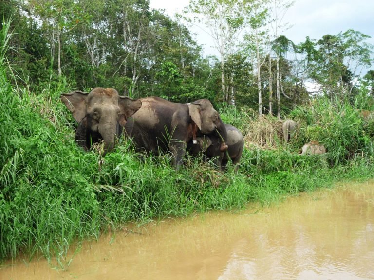 Hoogtepunten | Rama Tours