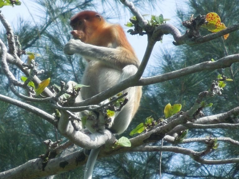 Hoogtepunten | Rama Tours
