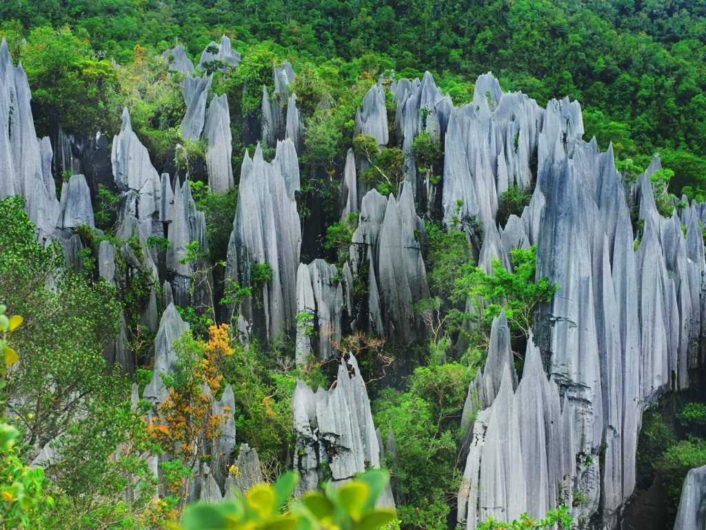 Gunung Mulu National Park | Rama Tours