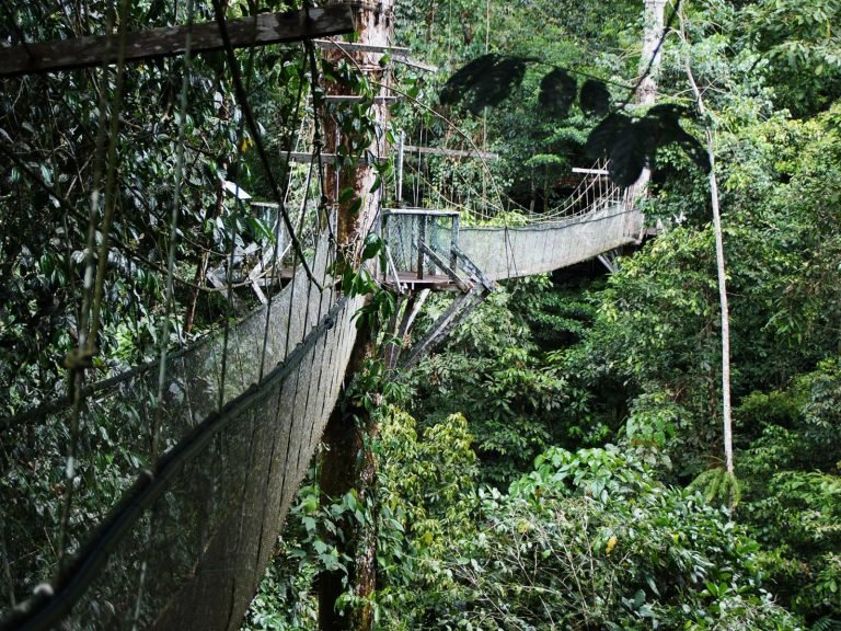 Hoogtepunten | Rama Tours