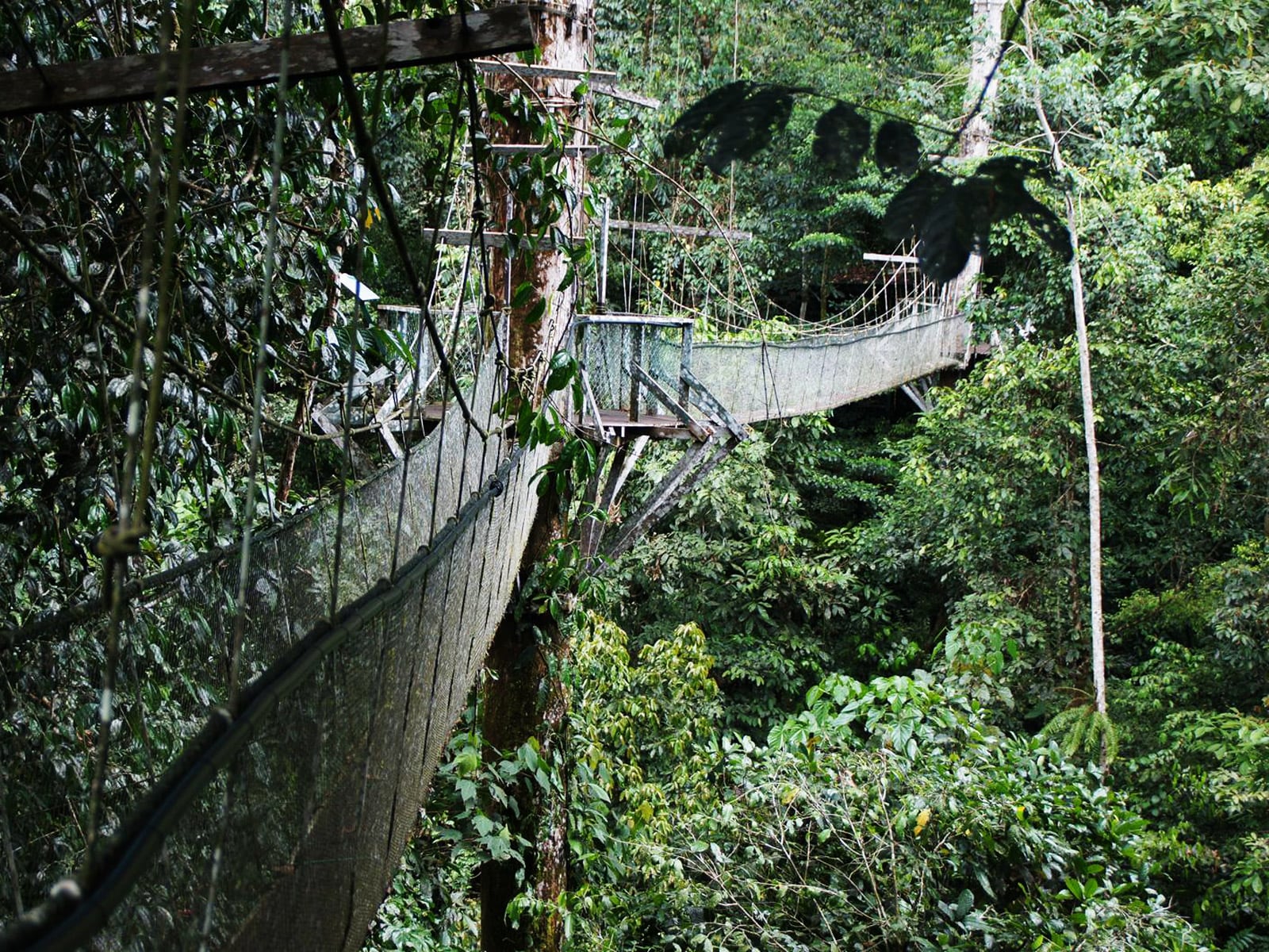 rondreis maleisie sarawak mulu national park 10